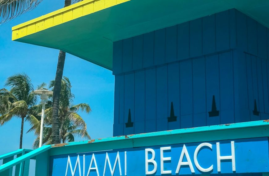 Miami Beach room near coconut tree