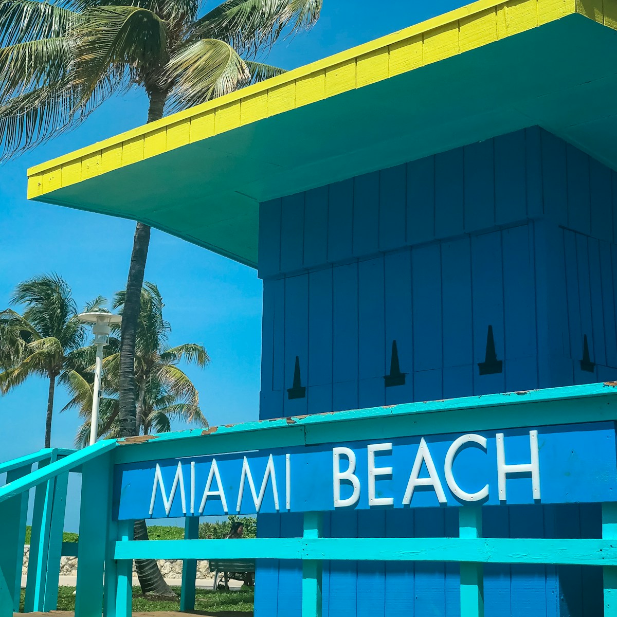 Miami Beach room near coconut tree